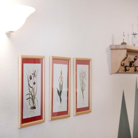 Residence Larice Bianco App N3 カンポドルチーノ エクステリア 写真